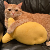 Orange tabby cat cuddling the goldfish cracker plush on a leather couch